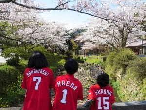 桜前線とご一緒に 私も花見に赴くのです